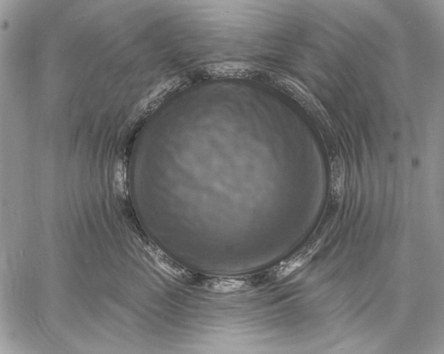 X0000057570669200510071545