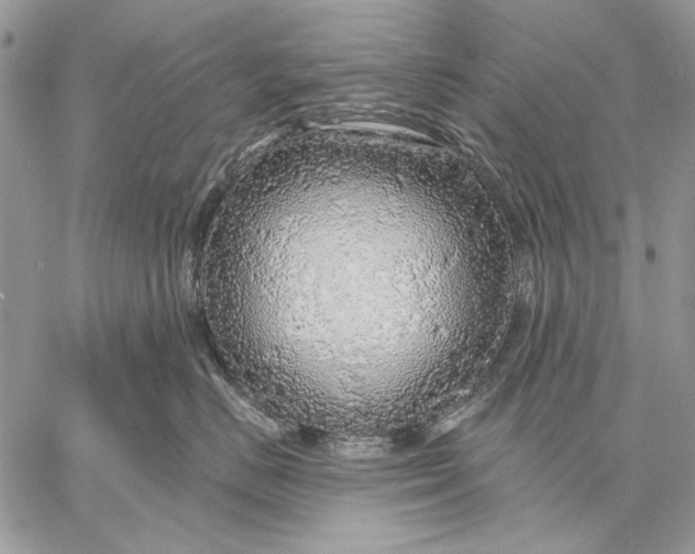 X0000057570670200510071545