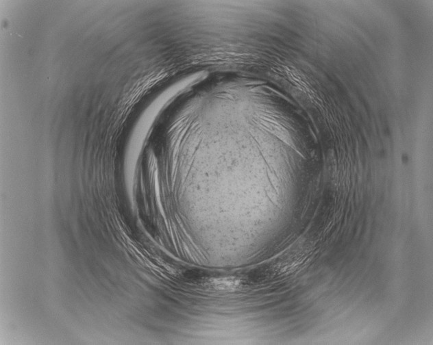 X0000057570692200510071544
