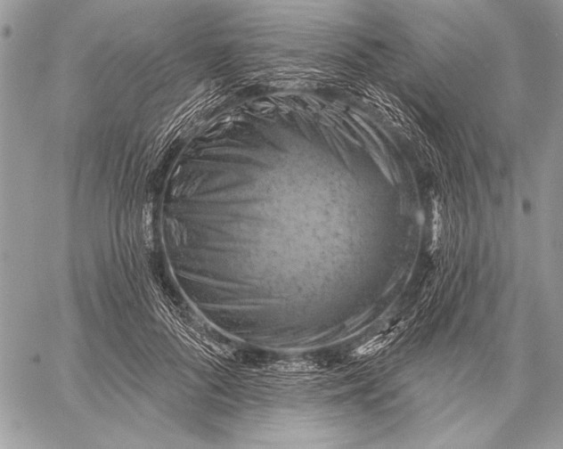 X0000057570696200510071544