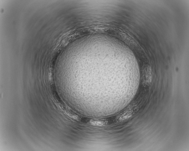 X0000057570706200510071543
