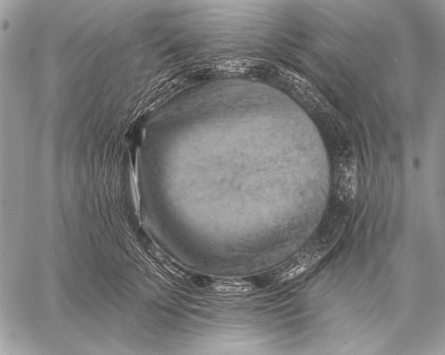 X0000057570707200510071543