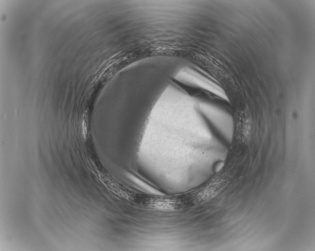 X0000057570710200510071543