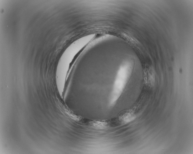 X0000057570718200510071543