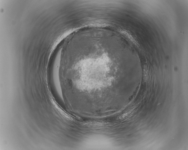 X0000057570726200510071543