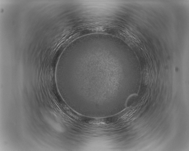 X0000057570747200510071543