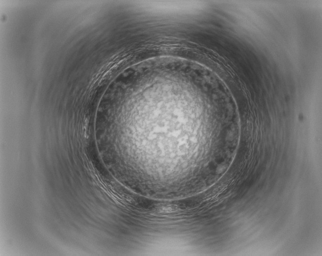 X0000057570750200510071543