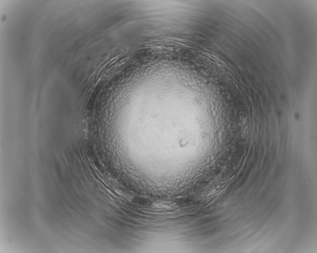 X0000057570753200510071543