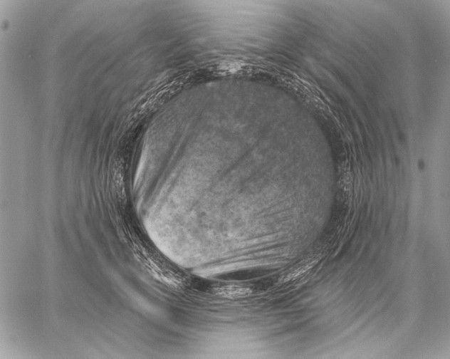 X0000057570754200510071543