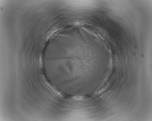 X0000057570762200510071543