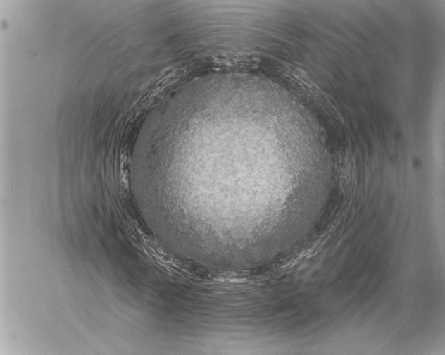X0000057570770200510071542