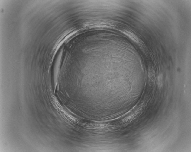 X0000057570790200510071542