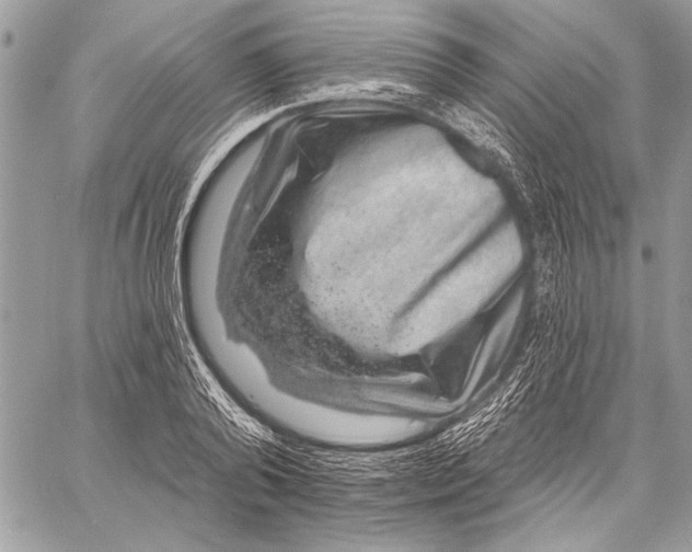 X0000057570792200510071542