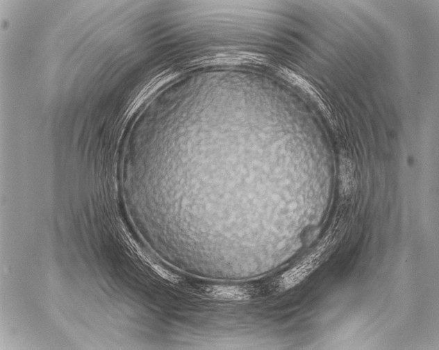 X0000057570794200510071542