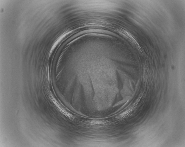 X0000057570796200510071542