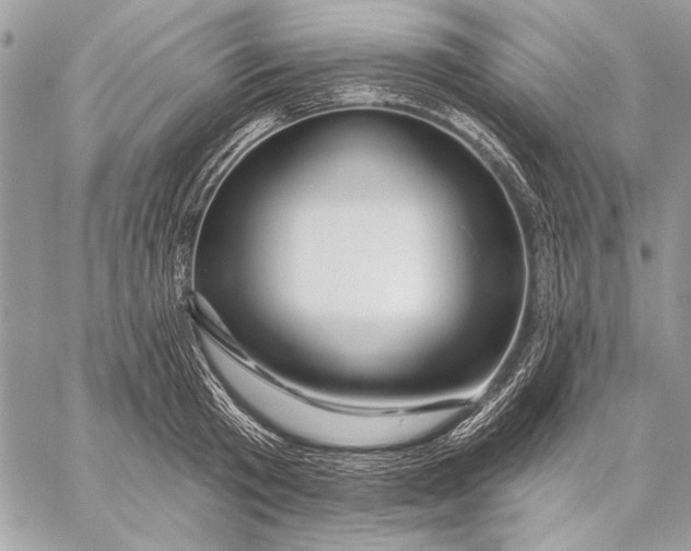 X0000057570801200510071542