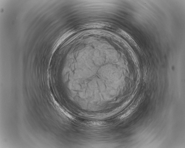 X0000057570802200510071542