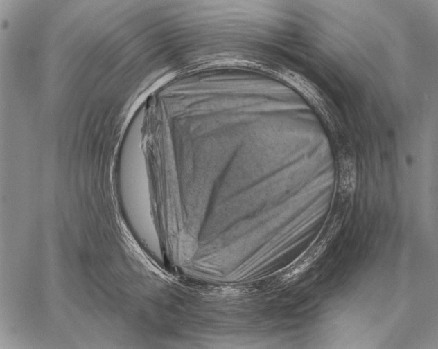 X0000057570806200510071542