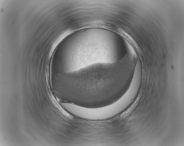 X0000057570812200510071542