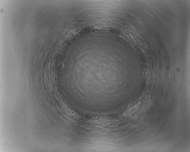 X0000057570817200510071541
