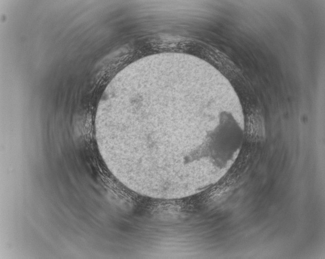 X0000057570820200510071541