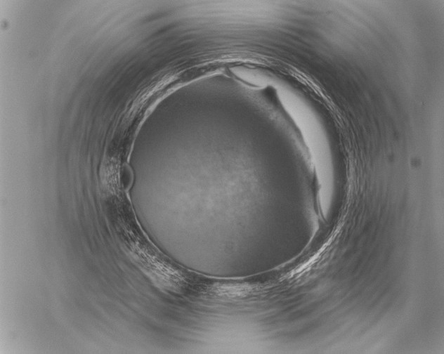 X0000057570825200510071541