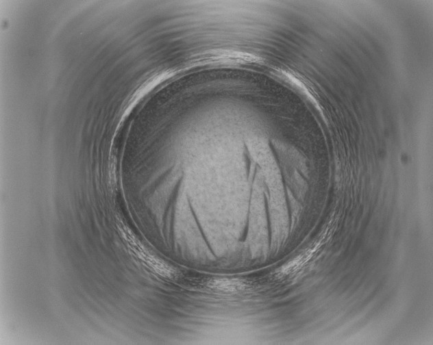 X0000057570835200510071541