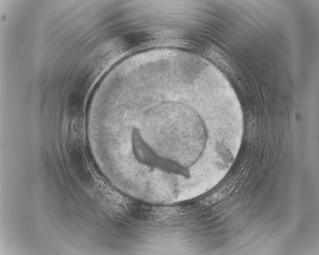 X0000057570836200510071541