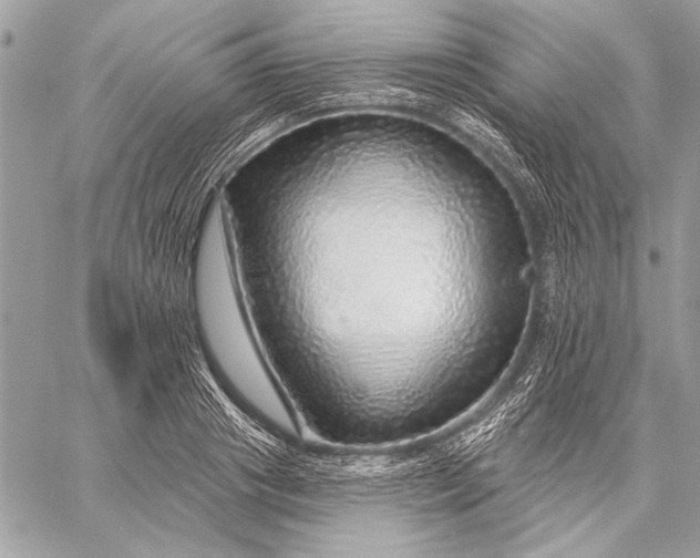 X0000057570841200510071541