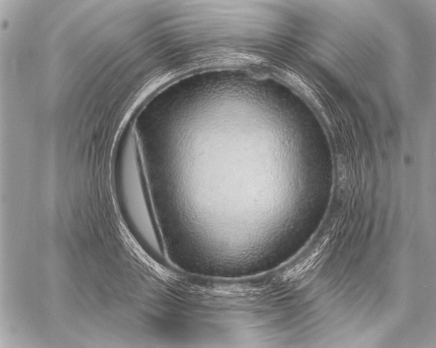 X0000057570843200510071541