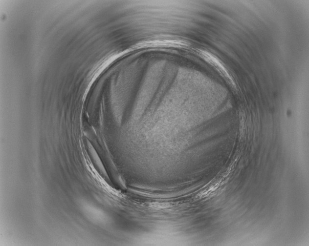 X0000057570852200510071541