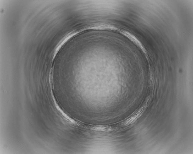 X0000057570855200510071541