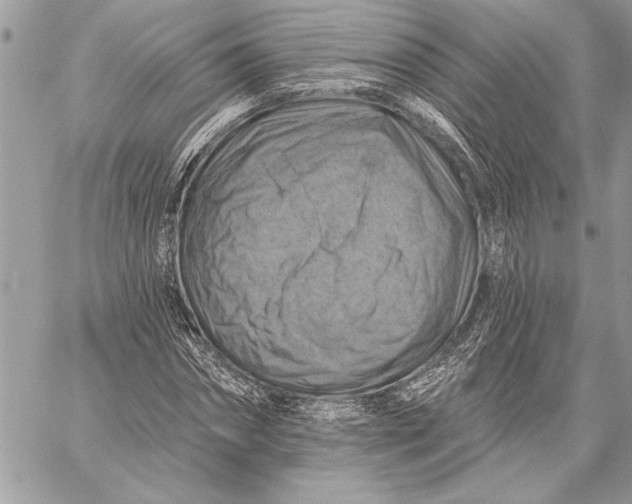 X0000057570874200510071541