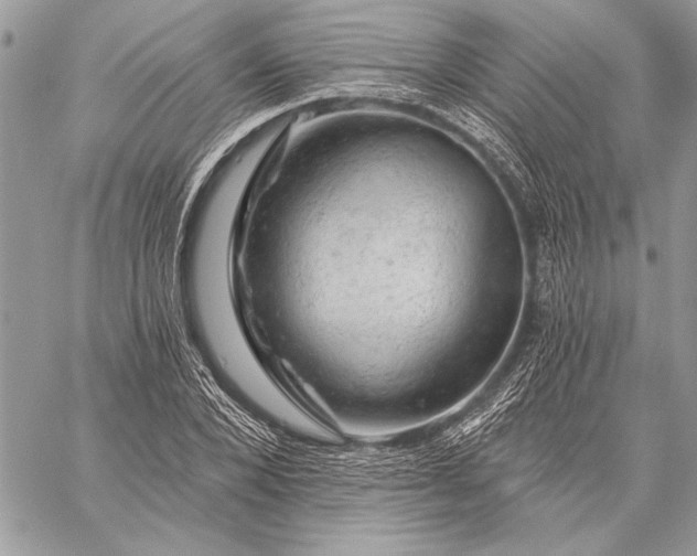 X0000057570880200510071541