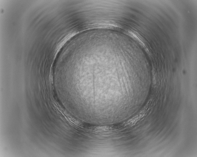 X0000057570883200510071541