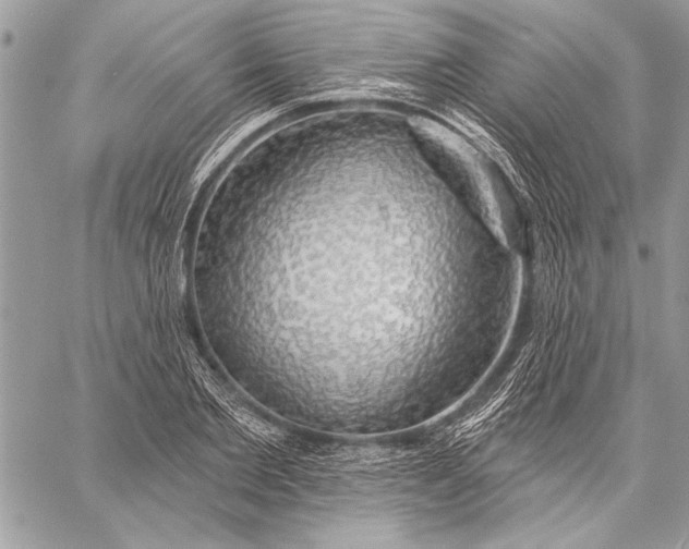 X0000057570885200510071540