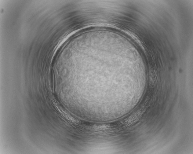 X0000057570887200510071540