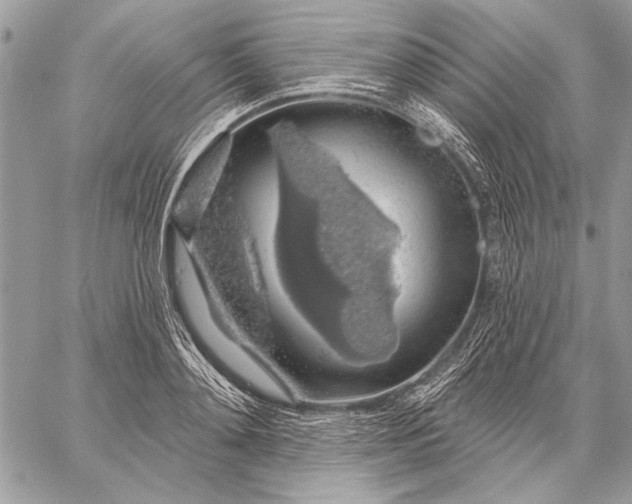 X0000057570892200510071540