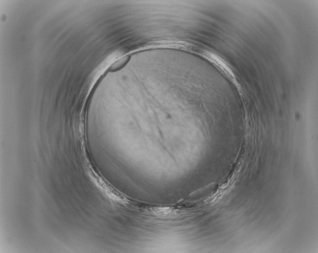 X0000057570907200510071540