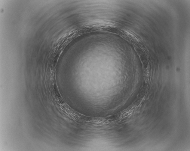 X0000057570917200510071539