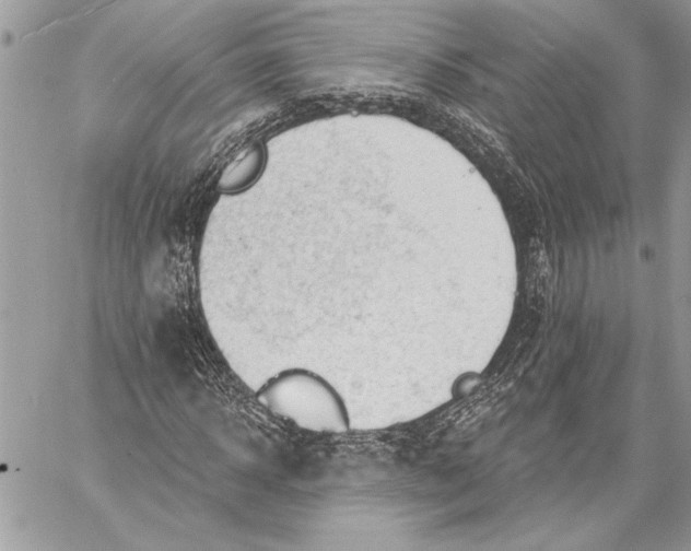 X0000057570918200510071539