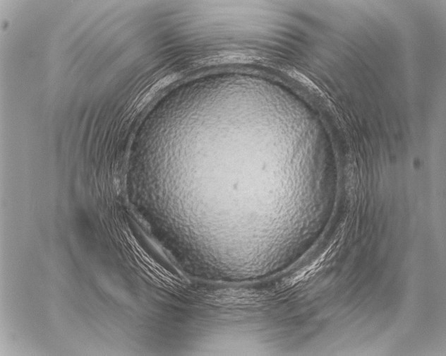 X0000057570929200510071539