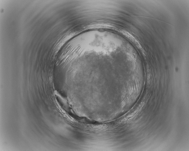 X0000057570945200510071540