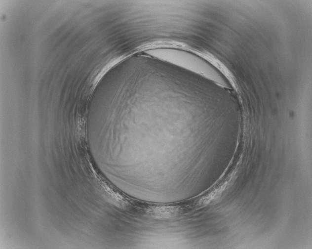 X0000057570953200510071540