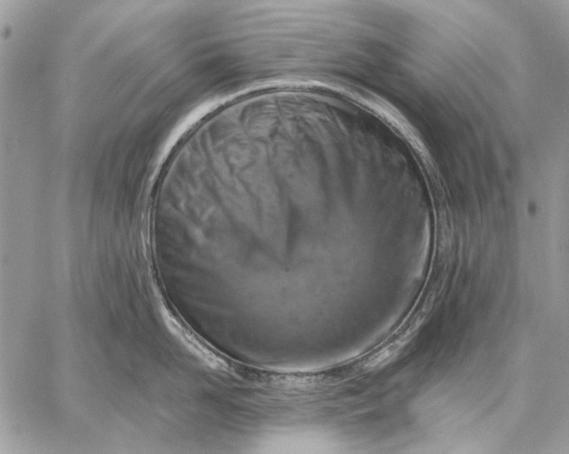 X0000057570958200510071540