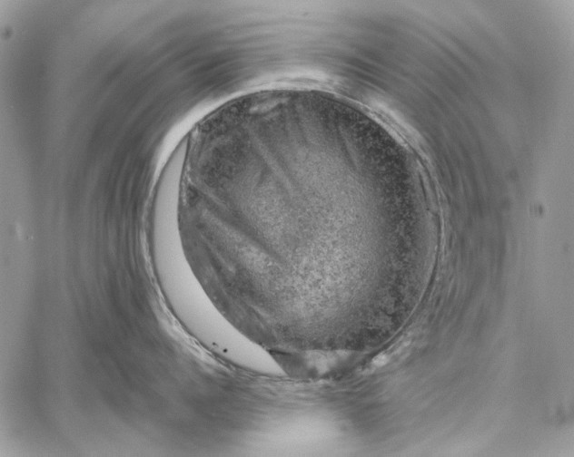 X0000057570960200510071540
