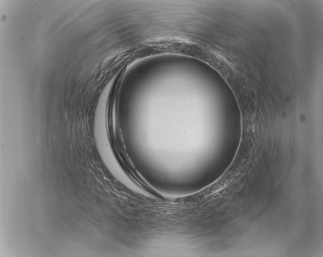 X0000057570965200510071539