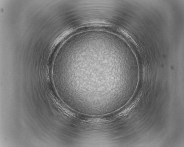 X0000057570970200510071539