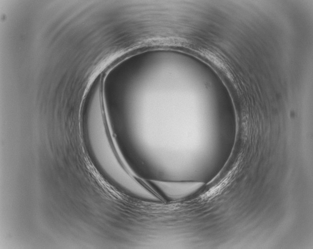X0000057570981200510071539
