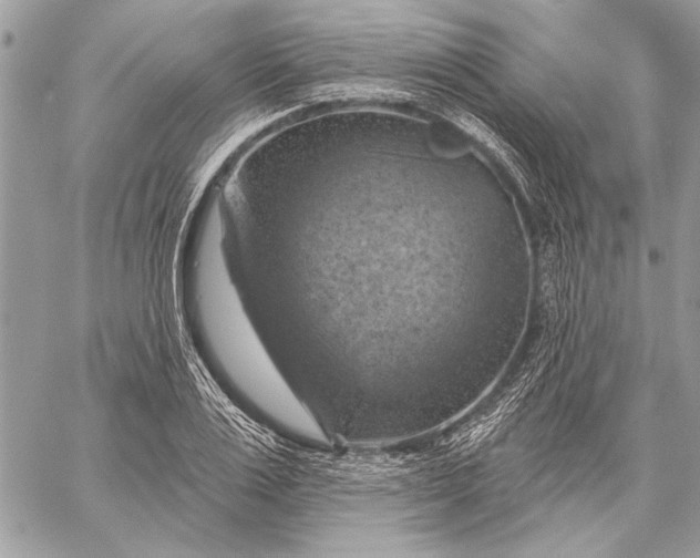 X0000057570983200510071539
